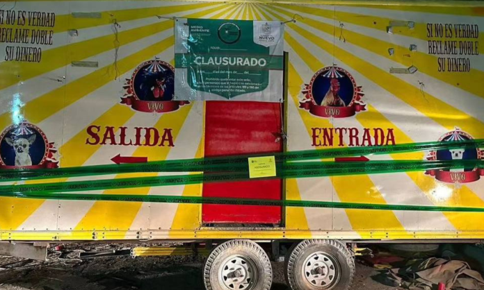 Clausuran circo que exhibía animales con malformaciones en Sabinas, Nuevo León
