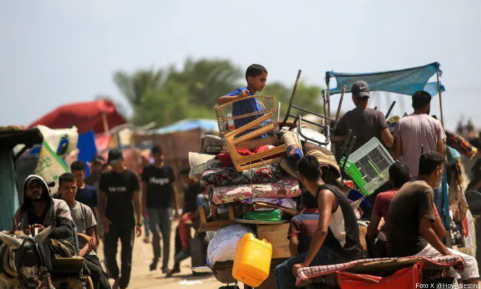 Sin champú, los piojos se propagan entre los desplazados de Gaza